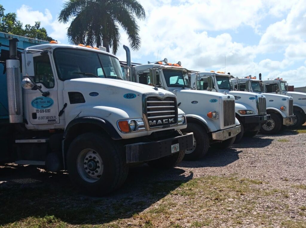 Row of parked white trucks under palm tree.
